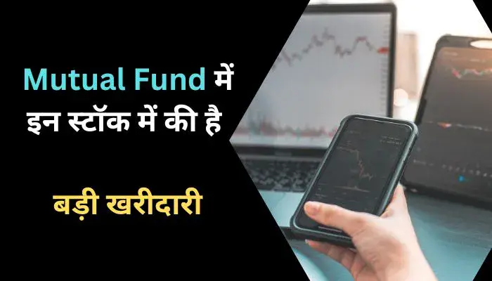 Mutual Fund में इन स्टॉक में की है बड़ी खरीदारी