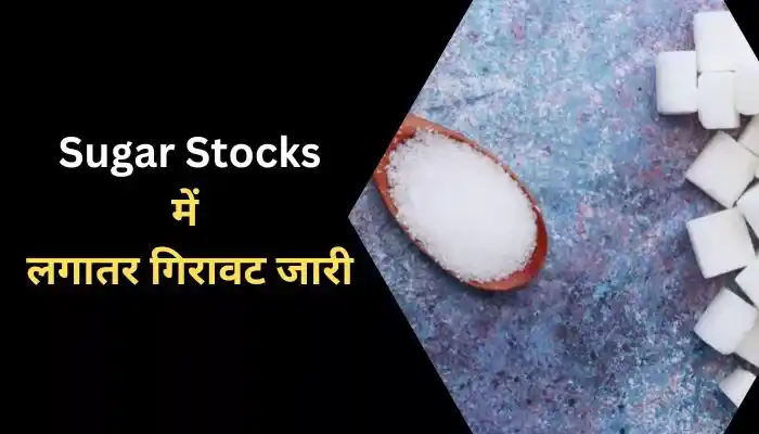 Sugar Stocks में लगातर गिरावट जारी