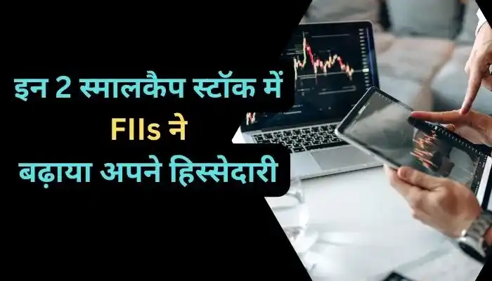 इन 2 स्मालकैप स्टॉक में FIIs ने बढ़ाया अपने हिस्सेदारी