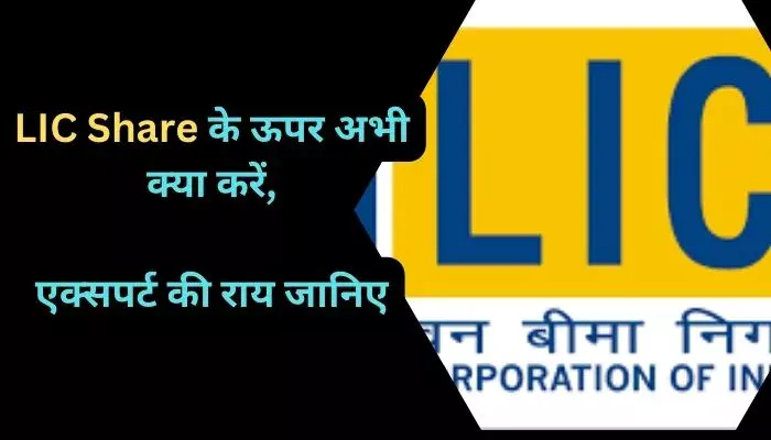 LIC Share के ऊपर अभी क्या करें