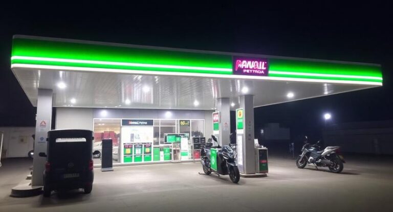 Manali Petro Share Price Target