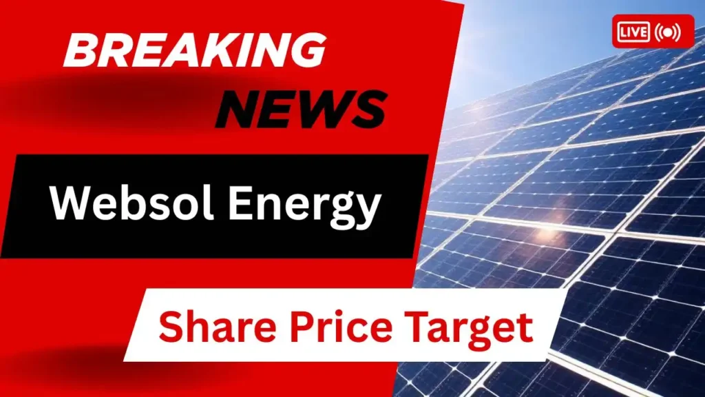Websol Energy Share Price Target