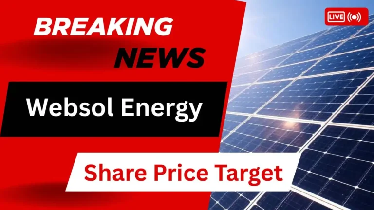 Websol Energy Share Price Target