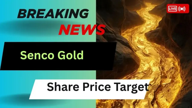 Senco Gold Share Price Target
