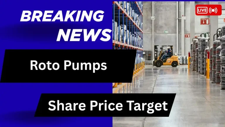 Roto Pumps Share Price Target