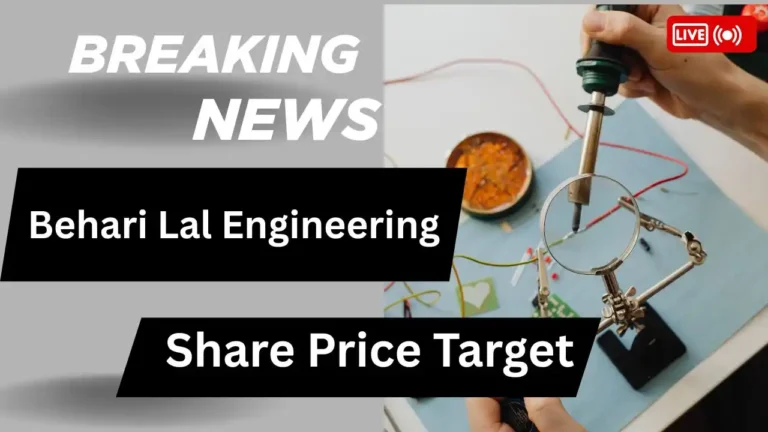 Behari Lal Engineering Share Price Target
