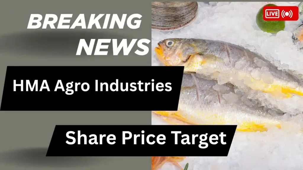 HMA Agro Industries Share Price Target